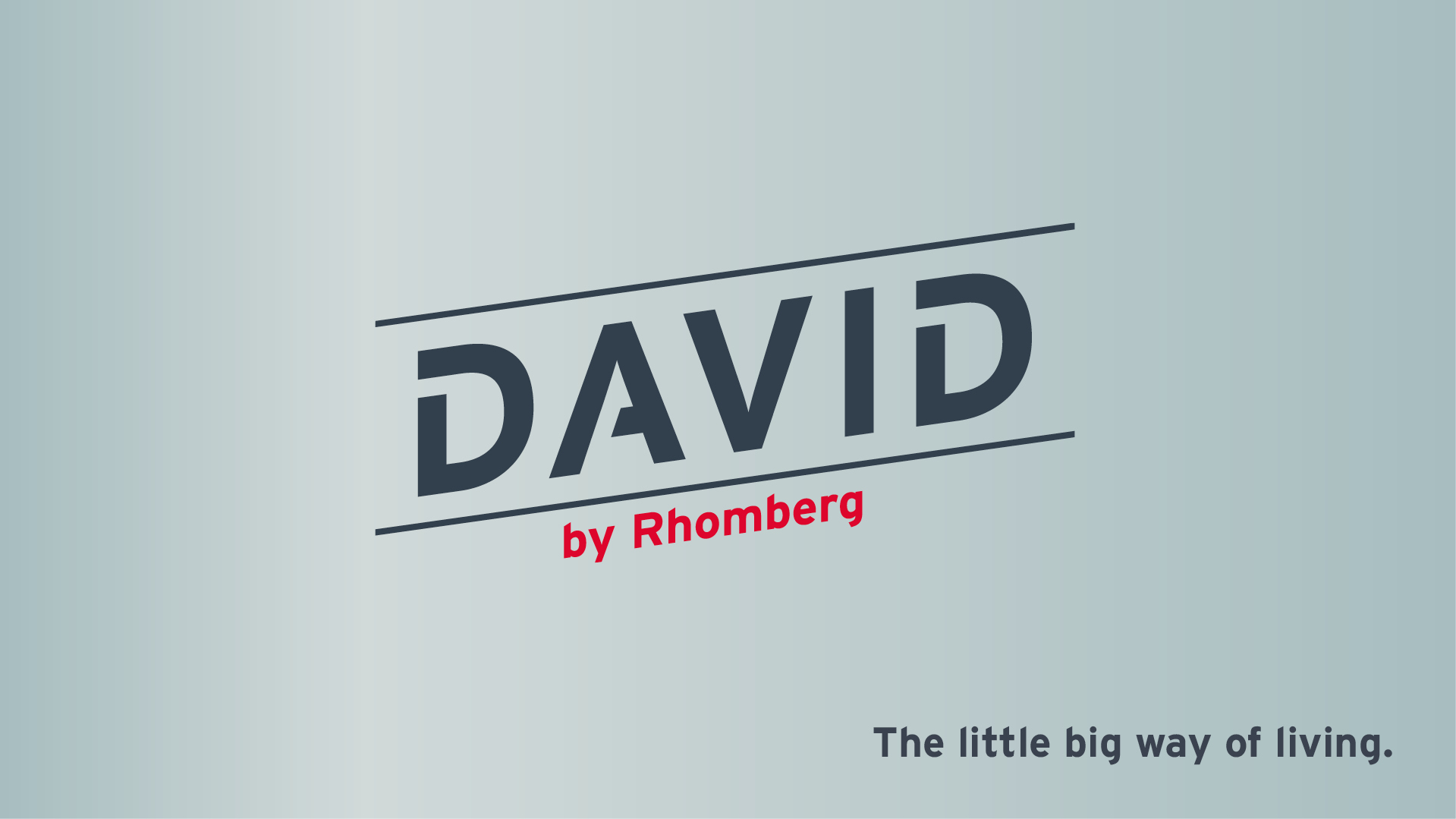 david_micro_apartment_logo_und_slogan