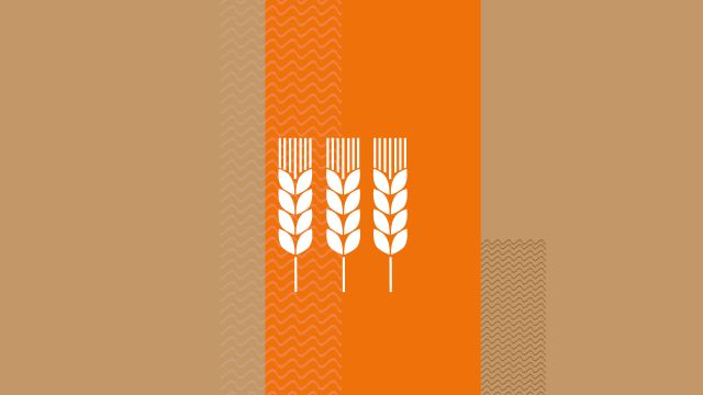 Drei Weizenähren als Symbole auf orange-beigefarbenem Hintergrund